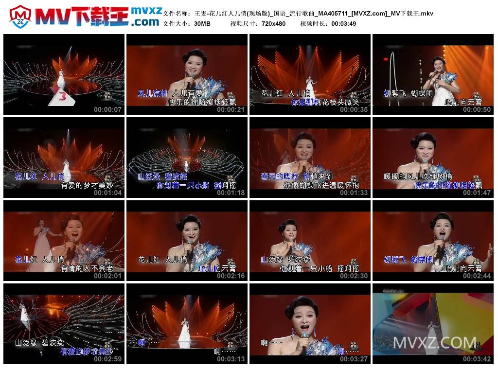 王雯-花儿红人儿俏(现场版)_国语_流行歌曲_MA405711